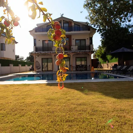 Cesur Villa *